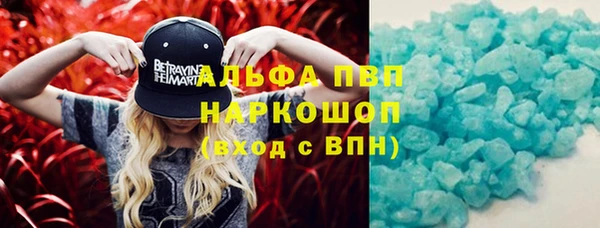 мяу мяу мука Аркадак