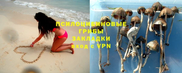 ПСИЛОЦИБИНОВЫЕ ГРИБЫ Армянск
